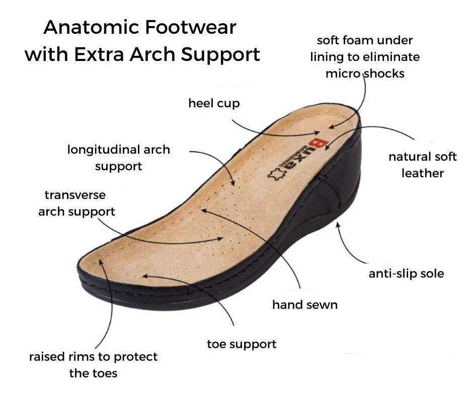 Anatomic-Scilla-Mules-Support